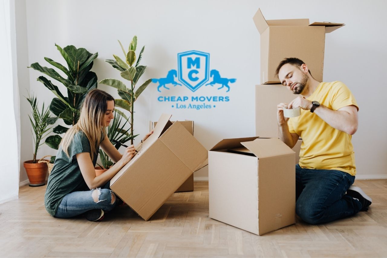 Move Company To Another Country