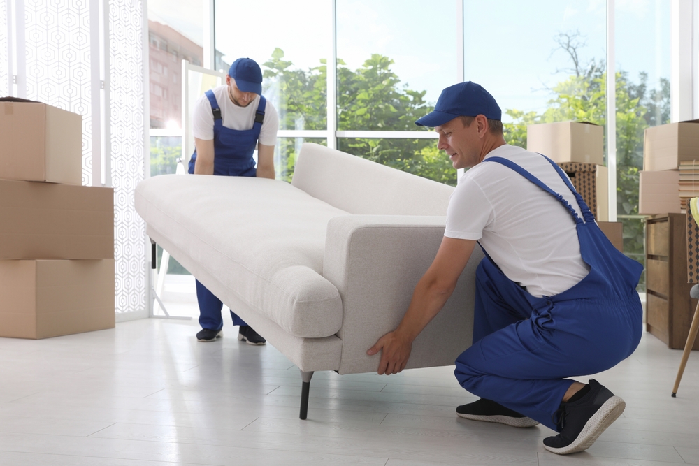 Full-service local moving company for hassle-free relocations